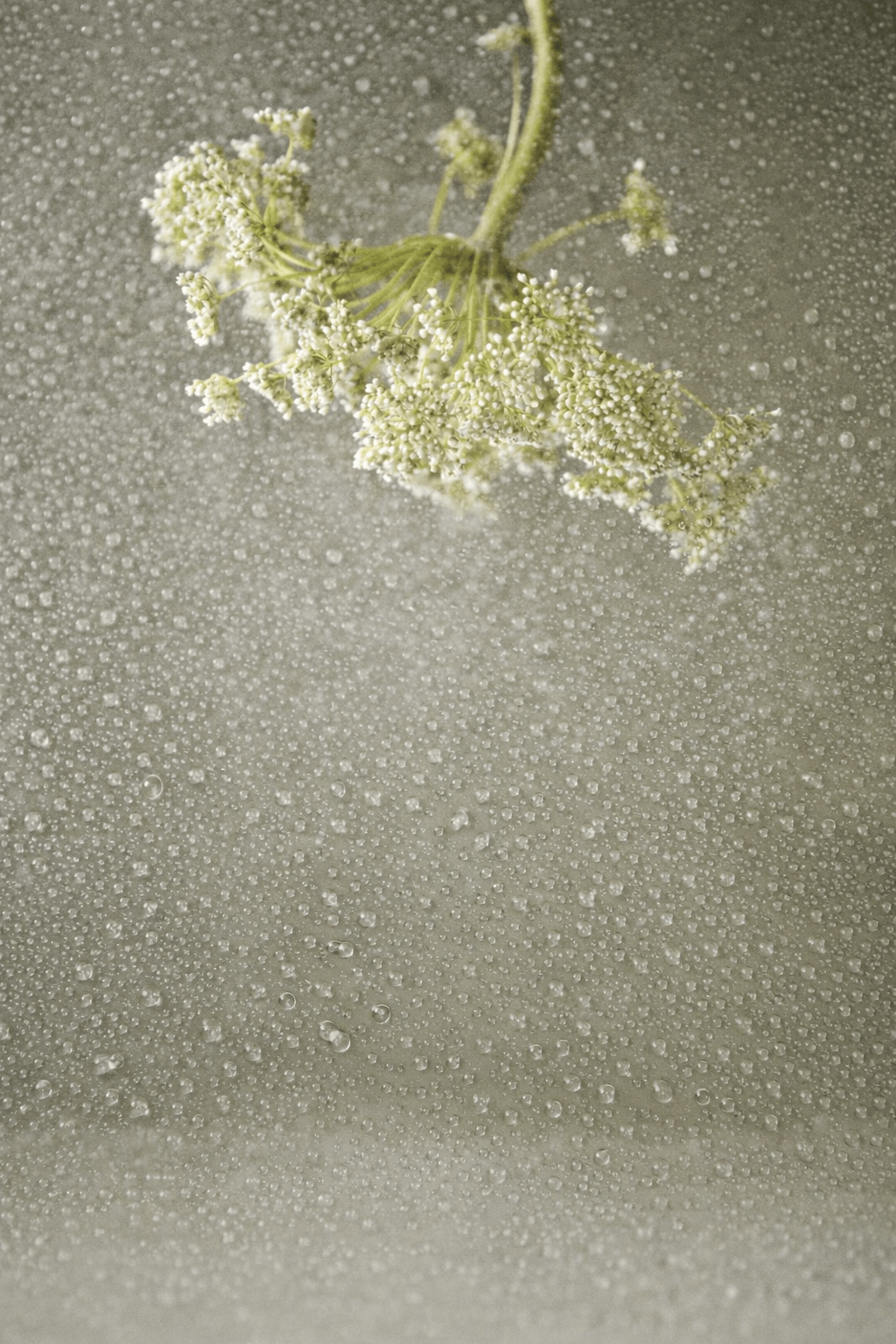 ENERGY CLEARING MIST